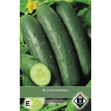 Komkommer, Cucumis sativus Sonja