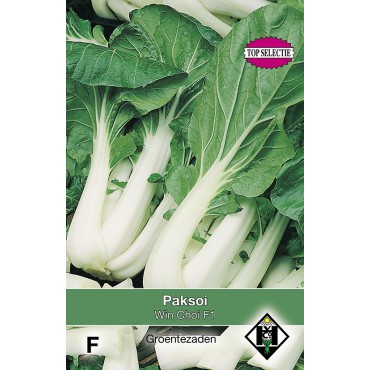 Paksoi, Brassica chinensis Win Choi F1