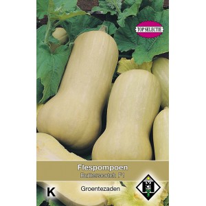 Flespompoen, Cucurbita moschata Butterscotch F1