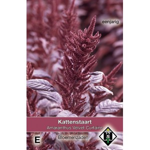 Amaranthus Velvet Curtains (Kattenstaart)