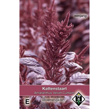 Amaranthus Velvet Curtains (Kattenstaart)