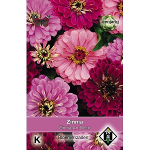 Zinnia elegans Art Deco