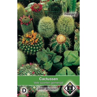 Cactusmengsel