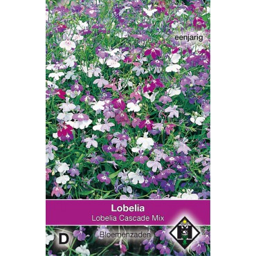 Lobelia pendula 'Cascade Mix'