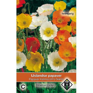 Papaver nudicaule 'Kelmscott's Giants'