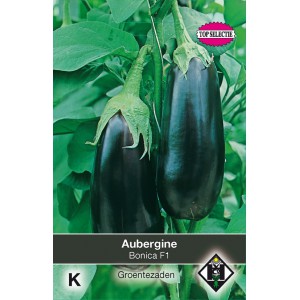 Aubergine Bonica F1