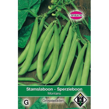 Stamslaboon Montano, 30 gr.