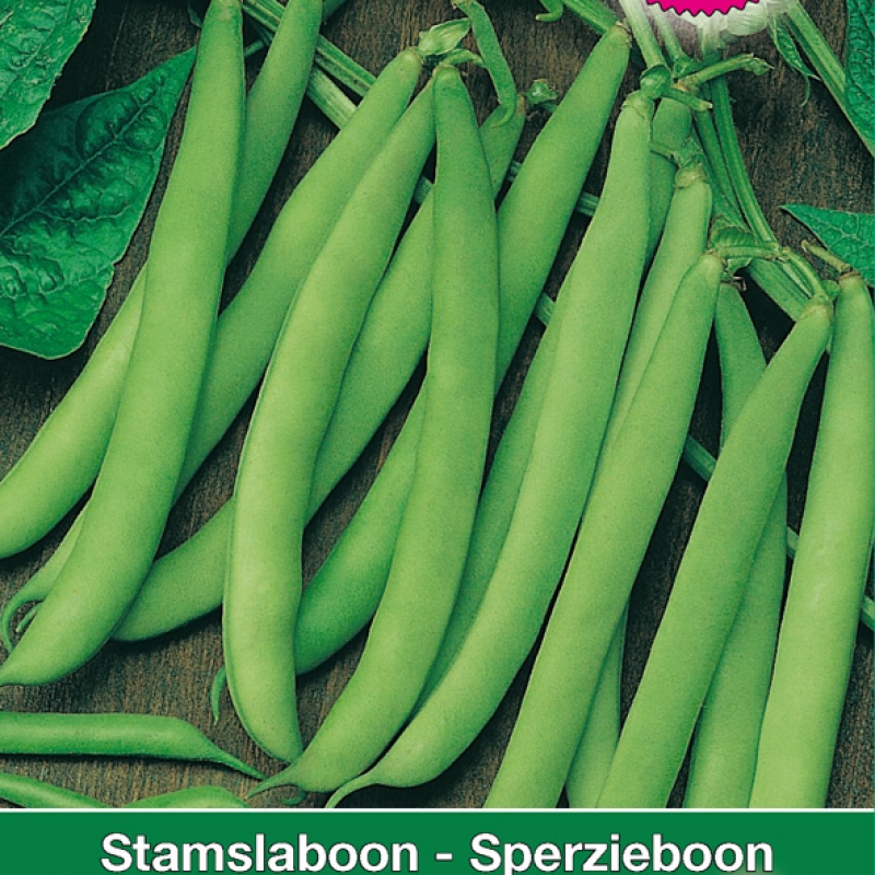 Stamslaboon Montano, 30 gr.