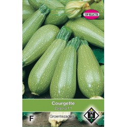 Courgette, Lorea F1