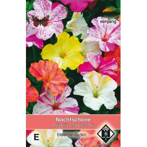 Mirabilis jalapa 'Marbles Mix'