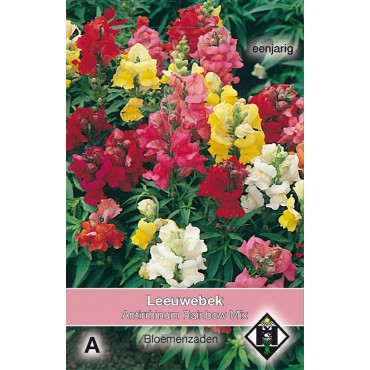 Antirrhinum majus 'Rainbow Mix'