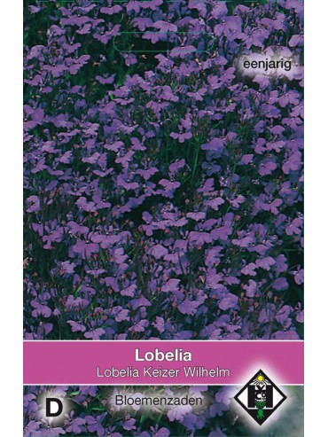 Lobelia erinus 'Keizer Wilhelm'