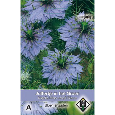 Nigella damascena 'Miss Jekyll Blauw'