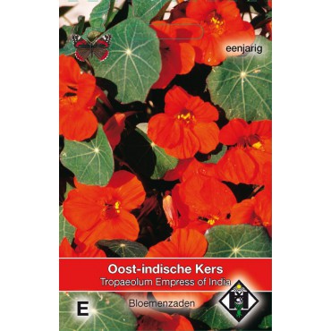 Tropaeolum m.n. 'Empress of India'