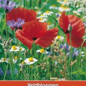 Veldbloemenmengsel