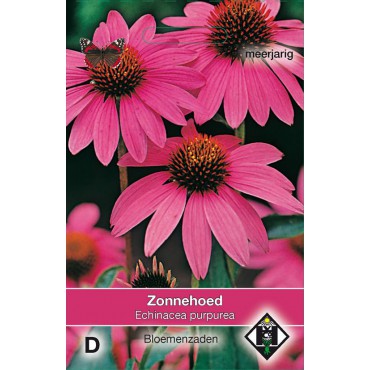 Echinacea purpurea