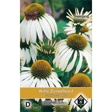 Echinacea purpurea 'Alba'