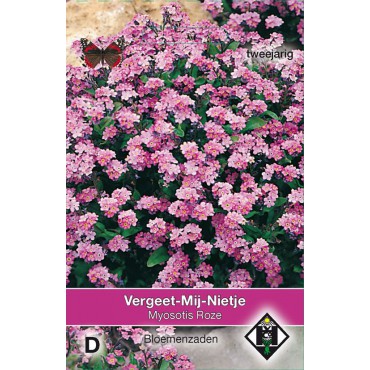 Myosotis sylvatica 'Roze'