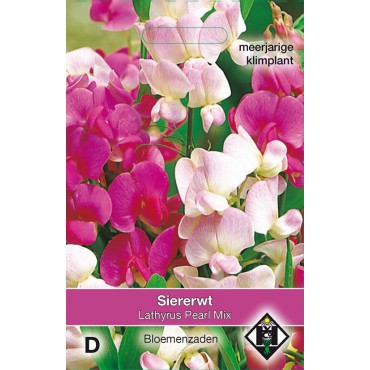 Lathyrus latifolius 'Pearl Mix'