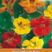 Tropaeolum majus 'Gleam Hybrids Mix'