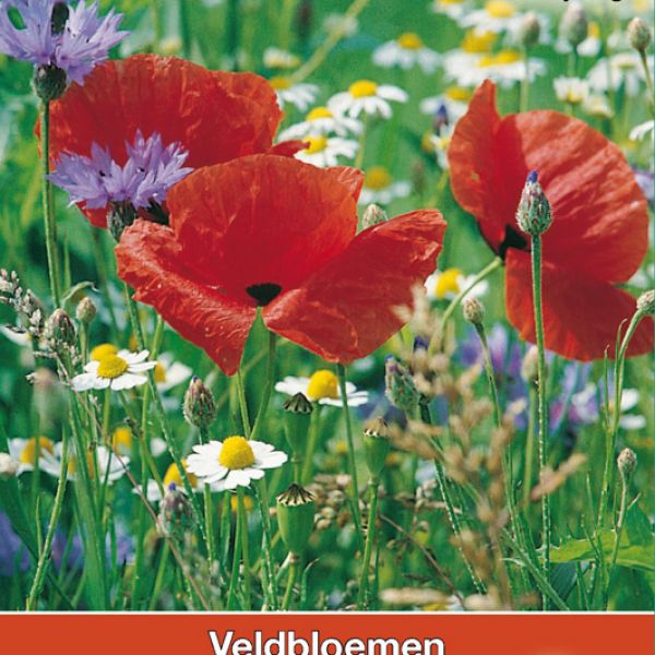 Veldbloemenmengsel Eén- en meerjarigen