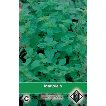 Marjolein / Origanum majorana