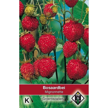 Bosaardbei, Fragaria vesca 'Mignonnette'