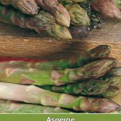 Asperge, Asparagus officinalis 'Vroege van Argenteuil'