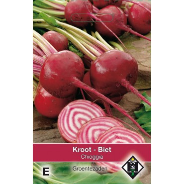 Biet - Kroot, Beta vulgaris 'Chioggia'