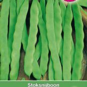 Stoksnijboon, Phaseolus vulgaris 'Limka', 60 gr.