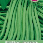 Stokslaboon - Sperzieboon, Phaseolus vulgaris 'Cobra', 30 gr.