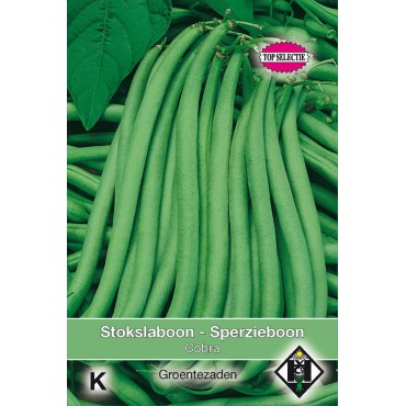 Stokslaboon - Sperzieboon, Phaseolus vulgaris 'Cobra', 30 gr.