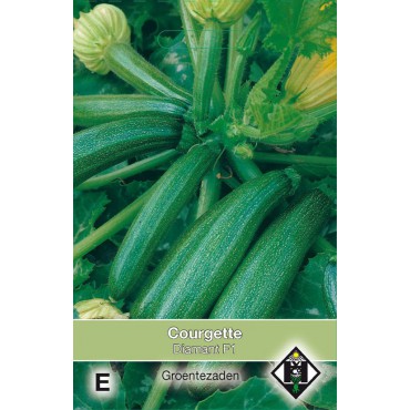 Courgette, Cucurbita pepo 'Diamant F1'