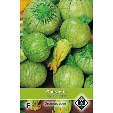 Courgette, Cucurbita pepo 'Tondo di Nizza'