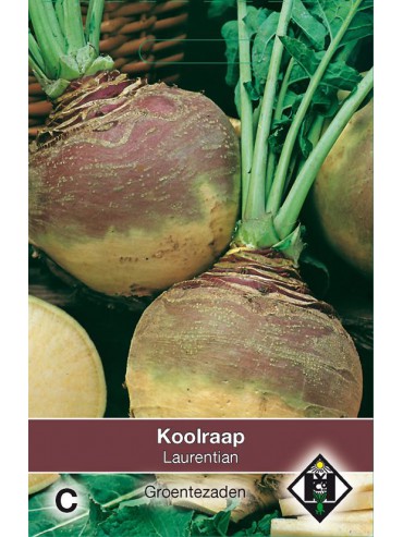 Koolraap, Brassica napus napobrassica 'Laurentian'