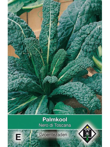 Palmkool, Brassica oleracea sabellica 'Nero di Toscana'