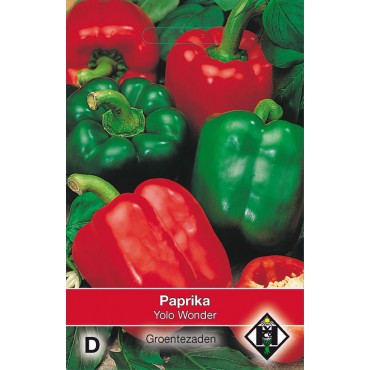 Paprika, Capsicum annuum 'Yolo Wonder'