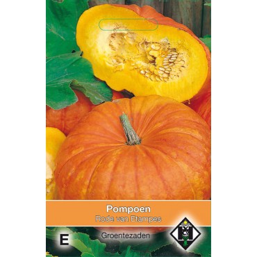 Pompoen, Cucurbita maxima 'Rode van Etampes'