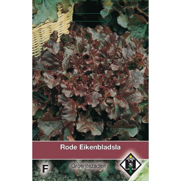 Rode Eikenbladsla, Lactuca sativa