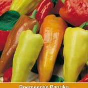 Roemeense Paprika, Capsicum annuum 'Antohi'