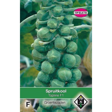 Spruitkool, Brassica oleracea gemmifera 'Topline F1'