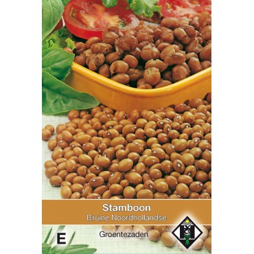 Stamboon - Bruine boon, Phaseolus vulgaris 'Bruine N.Hollandse' 30 gr.