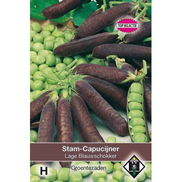 Stamcapucijner, Pisum sativum 'Lage Blauwschokker', 50 gr.