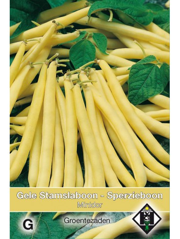 Stamslaboon - Sperzieboon, Phaseolus vulgaris 'Minidor', 30 gr.