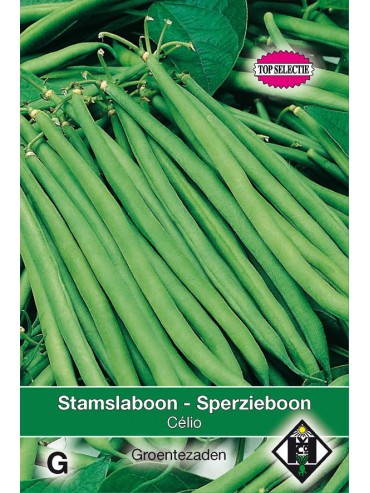 Stamslaboon - Sperzieboon, Phaseolus vulgaris Célio, 30 gr.