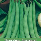 Stamslaboon, Phaseolus vulgaris 'Prelude', 60 gr.