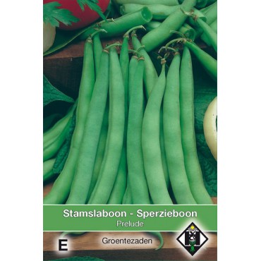 Stamslaboon, Phaseolus vulgaris 'Prelude', 60 gr.