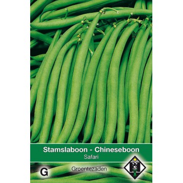 Stamslaboon, Phaseolus vulgaris 'Safari', 30 gr.