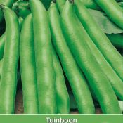 Tuinboon, Vica faba 'Suprifin', 60 gr.