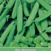 Vleeserwt, Pisum sativum 'Delikett', 50 gr.